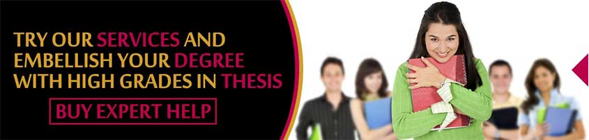 thesis experts